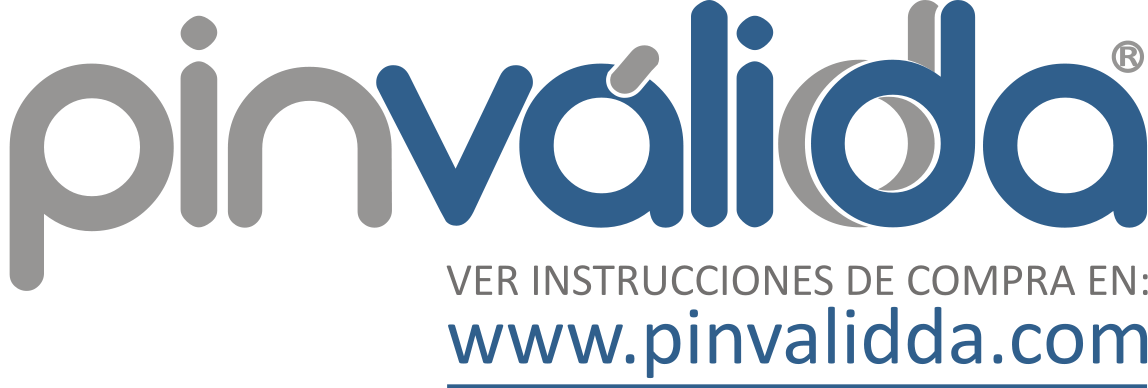 logo pinvalidda