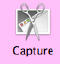 capture