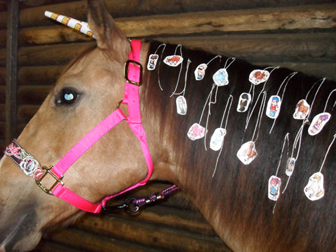 Cassypaard