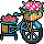 Bicicleta florida
