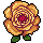 Goldene Zauberrose