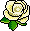 La Rosa Bianca