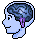 Il Cervello