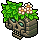 Lost Tribe Treasures