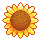 HabboBites, you’re my sunflower.