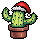 US344 - Christmas '22 with Cactier