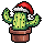 Christmas '22 with Cactier