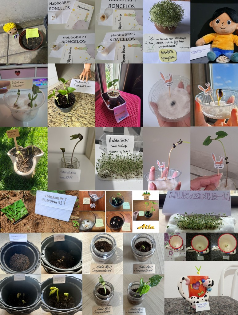 Image02_AeA_Participacoes