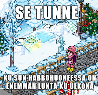 Viikonmeemi_helsinki