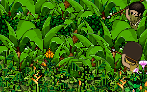 habbo_jungle_selva