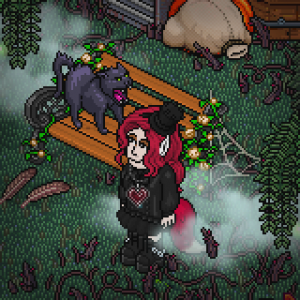 habbonews_image_competition_02