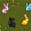 Os coelhos estão de volta!