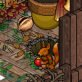 [Habbox] Year in the Life of a Squirrel