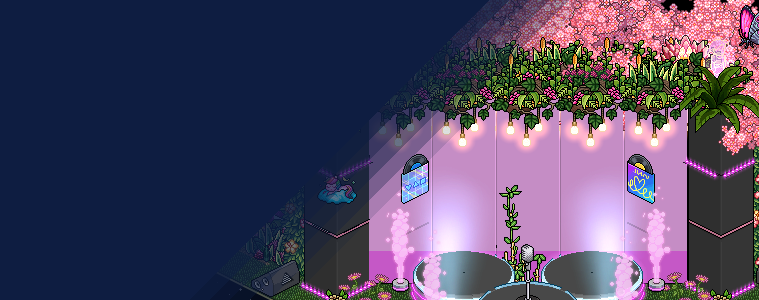 Habchella Festival is here!