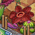 Il Bioworld di Habbo