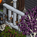 Competição Decorando para o Habboween