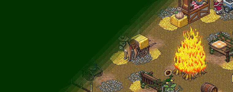 ¡Noche de hogueras, solsticio de verano, noche de San Juan!