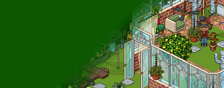 Pack Jardim de Inverno de Páscoa