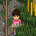 [HabboBites] Summer Fun Run