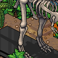 Julho no Habbo Hotel: Caça aos fósseis!