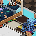 Juni in Habbo: Een nieuw begin voor de universiteit