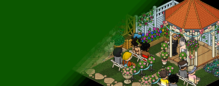 Pack Casório no Jardim