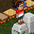 Vier Koningsdag in Habbo met BAW!