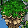 Tropical Lagoon Bundle