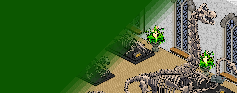 [Habbion] Kadonneet luut