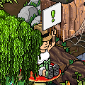 Enchanted Forest Bundle