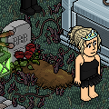 Habbox Murder Mystery