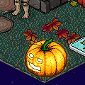 [Habbion] Halloween-rata