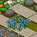 [HabboBites] Summer Fun Run