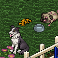 HabboQuests Video Games Day