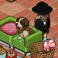 Love your (Habbo) Pets!