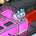 Résultats Miss Habbo.fr 2021
