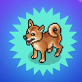 LTD Filhotinho Shiba Inu