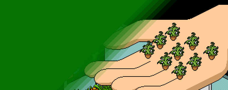 Raro añadido al Catálogo: Aloe Vera!