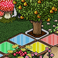 Doe mee aan de SID Safety Game!