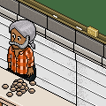 De Habbo School