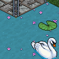 Swan Lake Bundle