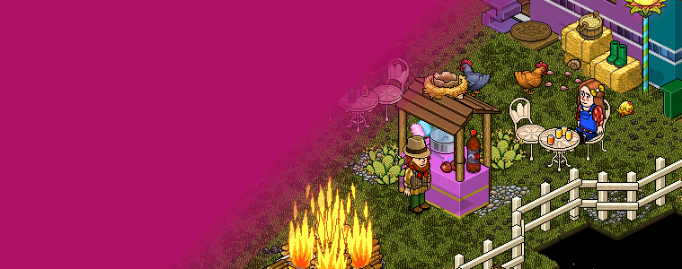 Competição São João Habbo 2024
