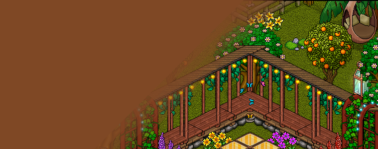 [Habbion] Wild Oranges