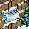 Winter Sports!