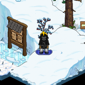 p-65865126-1708929873549