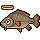 spromo_holycarpbadge_may25
